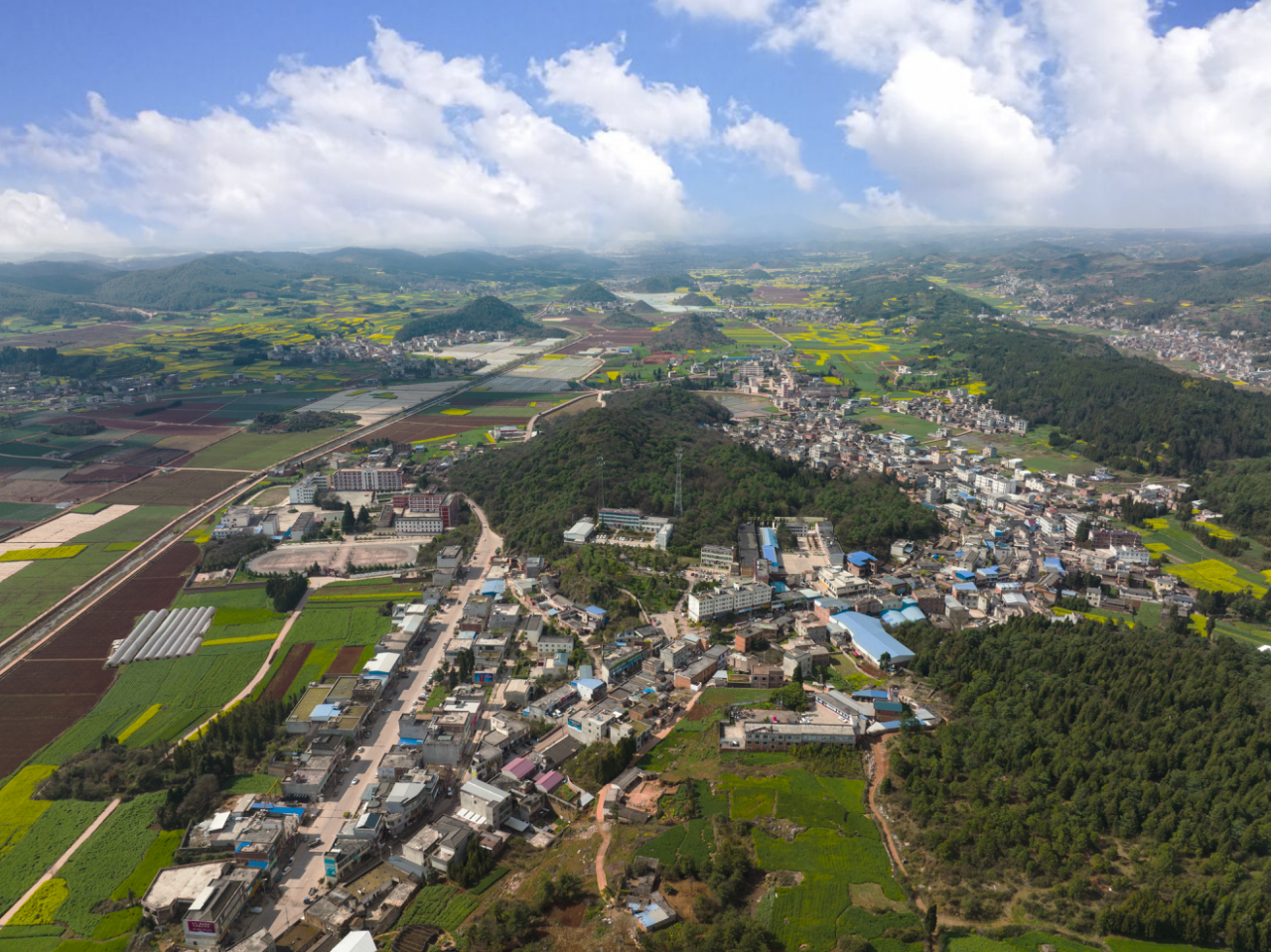 1.葵山鎮(zhèn)鳥(niǎo)瞰圖.png
