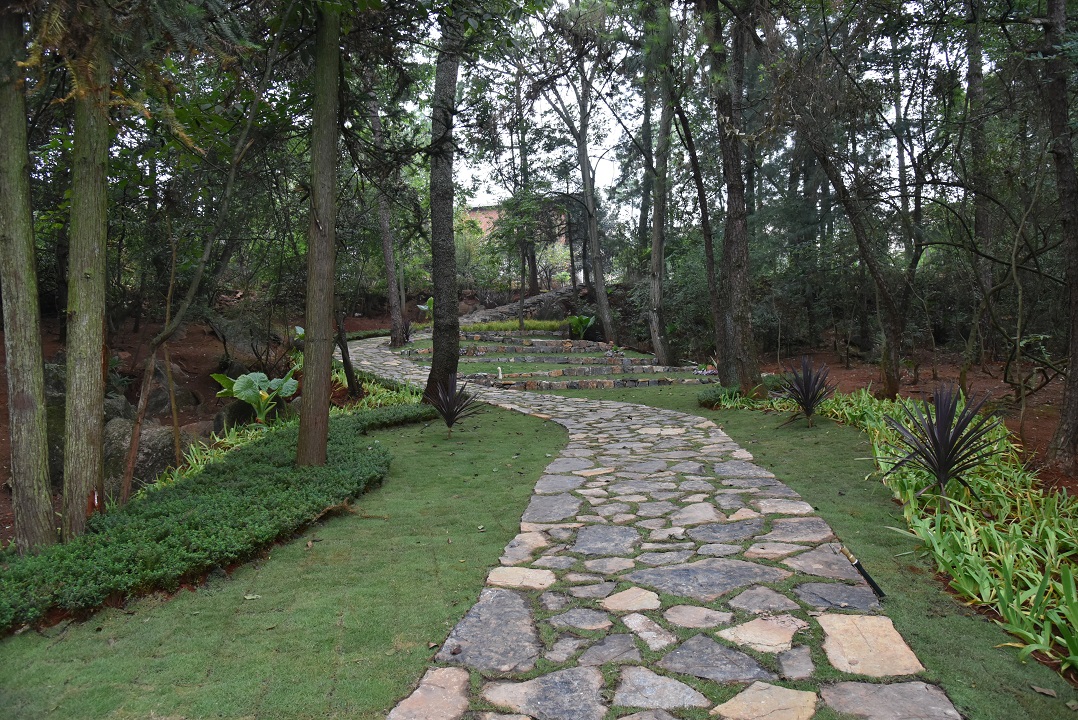 圖六，冒水洞村林間步道景觀.JPG